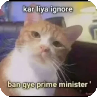 Video sticker 🐱 Maitohbholihu👉🏻👈🏻🤭