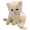 Sticker 🐱 @eeg1rl 𝑰'𝒎 𝒋𝒖𝒔𝒕 𝒂 𝒈𝒊𝒓𝒍 💒🍭🧁🩰🩷