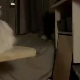 Video sticker 😎 Freaky ahh pack | @hyper_android ✮