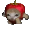 Video sticker 🍎 Premium stickers �...