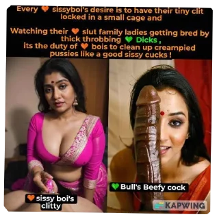 Video sticker 🖼 Sanskari to Hslut