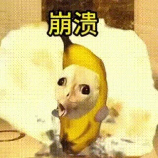 Video sticker 😊 Cat memes