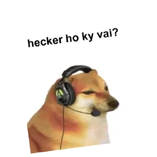 Video sticker 👍 @jarvisXm 😶‍🌫️