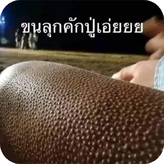 Video sticker 👍 MMMMM