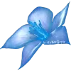 Video sticker 💙 𓊈ིྀ†🩵�...