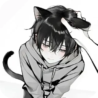 Sticker 🐈‍⬛ ᝯׁ֒ɑׁׅtׁׅ֮ϐׁᨵׁׅׅᨮׁׅ֮ᨮׁׅ֮ ꉂꉂ(ᵔᗜᵔ◍) @H1rk0t4k