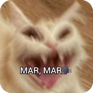 Video sticker 🐱 JHE