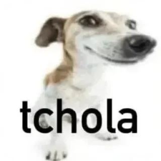 Video sticker 🐶 ECLIPSE GOVV