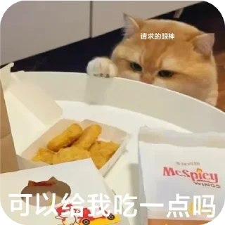 Video sticker 🌟 残酒喜欢的网红咪咪坡坡 popo@canjiudebot