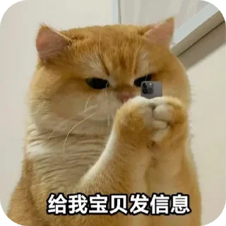 Sticker 🥰 残酒喜欢的网红咪咪坡坡 popo@canjiudebot