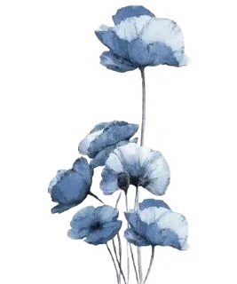 Telegram sticker 🦋 Munchkin