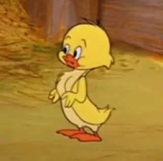 Video sticker 😯 @CIIC0Bot