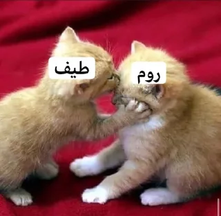 Telegram stiker 😉 @CIIC0Bot