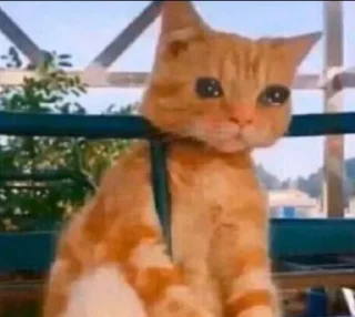 Telegram stiker 😭 @CIIC0Bot