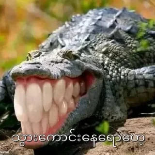 Sticker 😂 HaHa III @myanmarstickerpacks