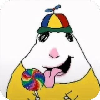 Video sticker 🍭 Хомячки