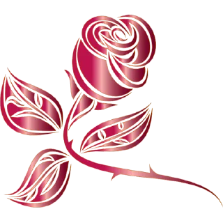 Video sticker 🌹 Roses ਗ਼ੁਲਾਬ @PunjabiSticker