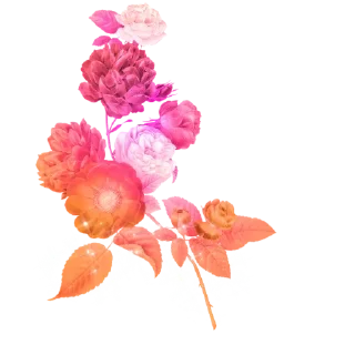 Telegram sticker 🌹 Roses ਗ਼ੁਲਾਬ @PunjabiSticker