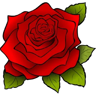 Sticker 🌹 Roses ਗ਼ੁਲਾਬ @PunjabiSticker