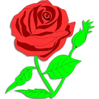 Video sticker 🌹 Roses ਗ਼ੁਲਾਬ @PunjabiSticker