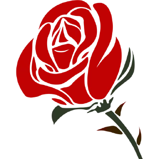 Video sticker 🌹 Roses ਗ਼ੁਲਾਬ @PunjabiSticker