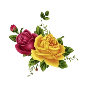 Telegram sticker 🌹 Roses ਗ਼ੁਲਾਬ @PunjabiSticker