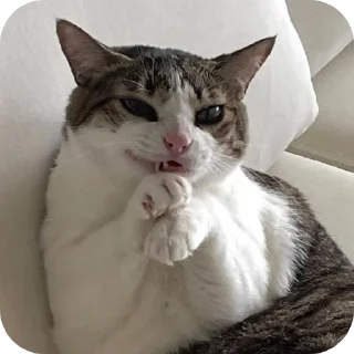 Telegram sticker 👍 AriiB