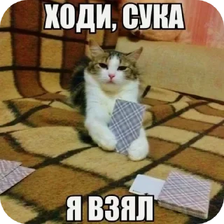 Sticker 🐱 Больше стиков тут: @stikery4