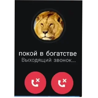 Телеграм стикер 🐶 Больше стиков тут: @stikery4