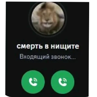Телеграм стикер 🐶 Больше стиков тут: @stikery4