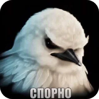 Telegram sticker 🐦 Сыр