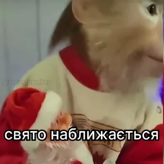 Video sticker 🥳 all stickers⁴ —> @random_stufff_stickers