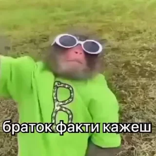 Video sticker 😎 all stickers⁴ —> @random_stufff_stickers