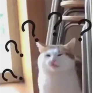 Телеграм стикер 🧐 Funny cry cat