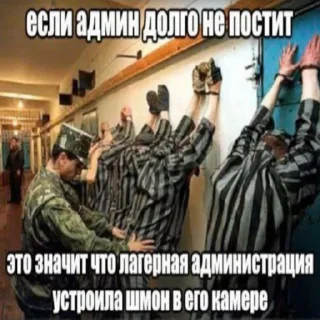 Video sticker ➖ @dayloli <- 78 Причин Дрочить