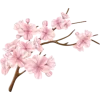 Sticker 🤩 japan vibe ➜ @emoji1