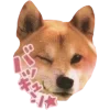 Video sticker 🤩 japan vibe ➜ @em...