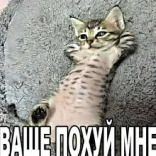 Sticker 😁 шизанутости ➡️ @Ctikerubot