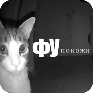 Video sticker 🫥 шизанутости ➡️ @Ctikerubot