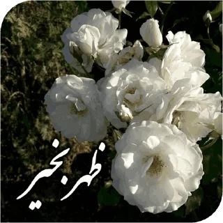 Telegram stiker 🌺 @bazaretehrantalaa