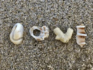 Video sticker 🤍 ॐ by @Txcrr @TgEmodziBot