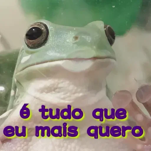 Telegram sticker 🙏 Socorro!