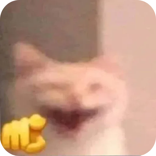 Telegram sticker 🫵 Socorro!