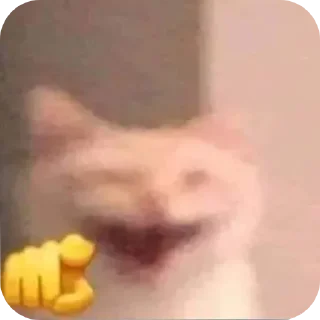 Video sticker 🫵 Socorro!