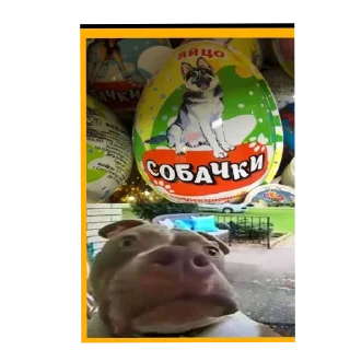 Telegram stiker 🖼 Скулшутинг и не только