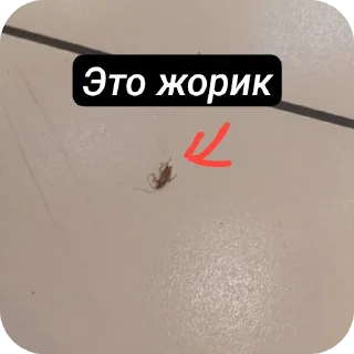 Telegram stiker 🤨 Скулшутинг и не только