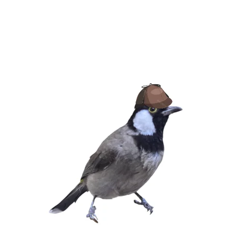 Sticker 🐦 T_C 2