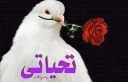 Telegram sticker 🌹 T_C 2