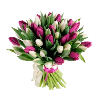 Telegram sticker 🌷 @GOgorshochek24 Косметика оптом из Кореи
