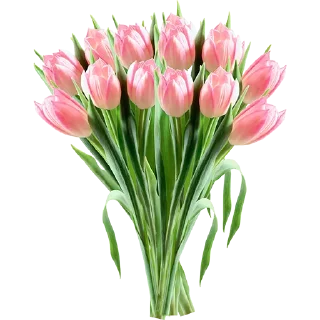 Telegram sticker 🌷 @GOgorshochek24 Косметика оптом из Кореи